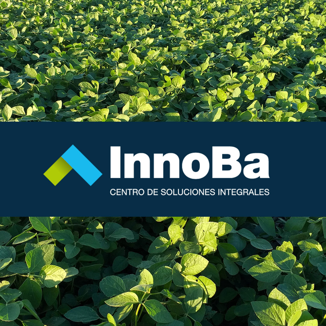 innoba