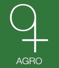 Q+logo